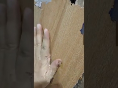 200x1200mm लकड़ी की श्रृंखला सिरेमिक टाइल का परिचय