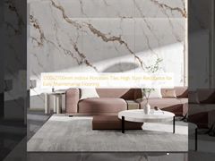 1200x2700 मिमी इनडोर पोर्सिलेन टाइलें आसान रखरखाव के लिए उच्च दाग प्रतिरोध